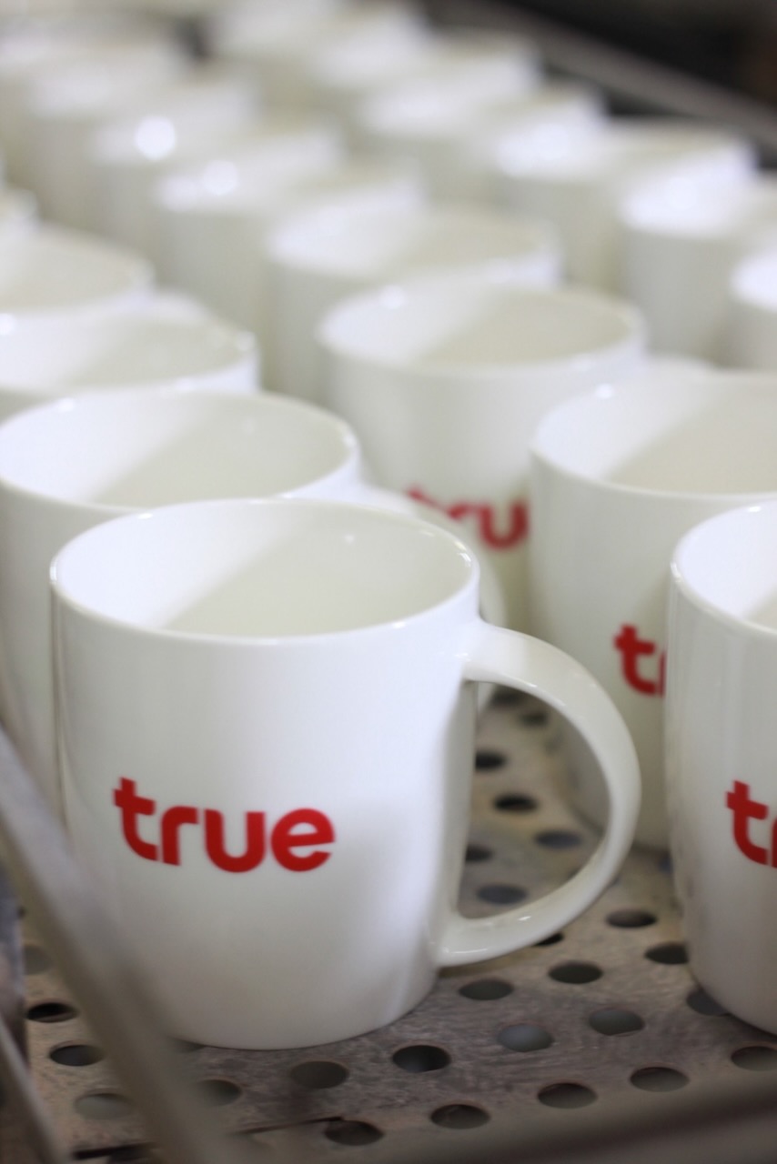 โรงงานแก้วเซรามิค - 219